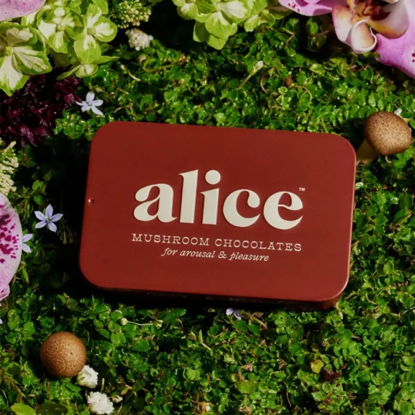 Alice Happy Ending Mushroom Chocolate - Image 2