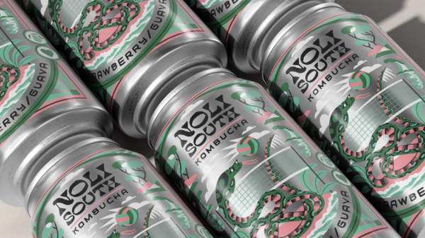 Noli South Kombucha Variety Pack - Image 3